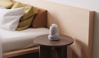 Bird-Inspired Speaker Designs Image 6