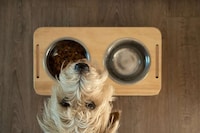 Inconspicuous Pet Furniture Image 1