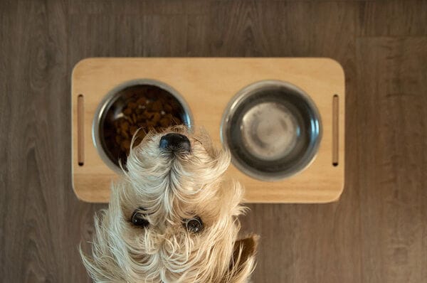 Inconspicuous Pet Furniture
