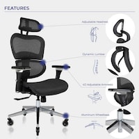 Ergonomic Office Chair Designs Image 3