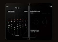 Biometric Pull-Up Bars Image 6