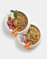 Health-Focused Pet Meal Plans Image 5