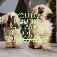 Anti-Loyalty Memberships Image 3