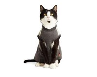 Cat-Specific Pet Product Collections Image 2