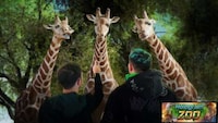 Immersive Holographic Zoos Image 2