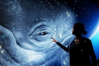 Immersive Holographic Zoos Image 3