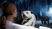 Immersive Holographic Zoos Image 5