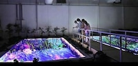 Immersive Holographic Zoos Image 6