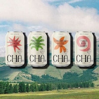 Sparkling Prebiotic Teas