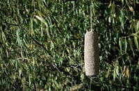 Recycled Material Pendant Lights Image 3