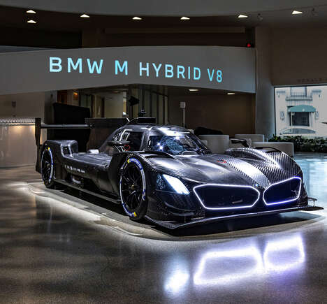Artistic Auto Showcases