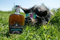 Sun-Toasted Whiskey Collaborations Image 1