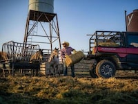Extreme Duty UTV Models Image 4