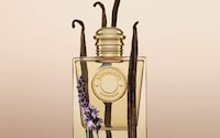 Refillable Gourmand Fragrances Image 1