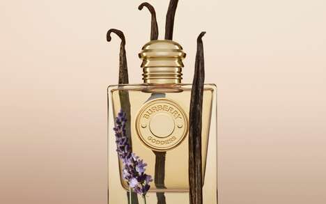 Refillable Gourmand Fragrances