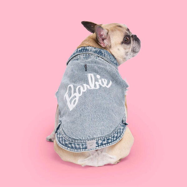 Doll-Themed Dog Collections