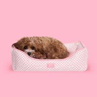 Doll-Themed Dog Collections Image 4