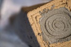 Sawdust-Created Biodegradable Casts Article Thubnail