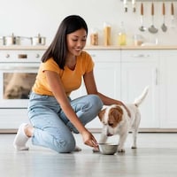 Pet Glucose-Managing Ingredients Image 2