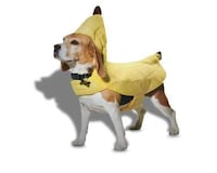 Expansive Halloween Pet Collections Image 1