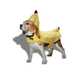 Expansive Halloween Pet Collections Image 1