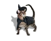 Expansive Halloween Pet Collections Image 2