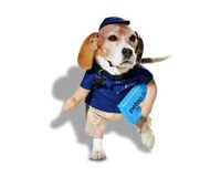 Expansive Halloween Pet Collections Image 3
