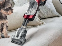 Agile Pet Owner Vacuums Image 2