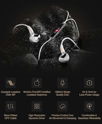 Luxe Lossless Audio Earbuds Image 2