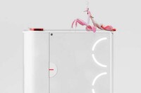 Fashionable Portable Speakers Image 5