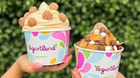Cereal-Flavored Frozen Yogurts