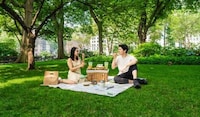 Premium QSR Picnic Kits