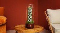 Plant-Powered Air Purifiers Image 2