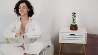 Plant-Powered Air Purifiers Image 3