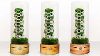 Plant-Powered Air Purifiers Image 5