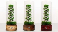 Plant-Powered Air Purifiers Image 6