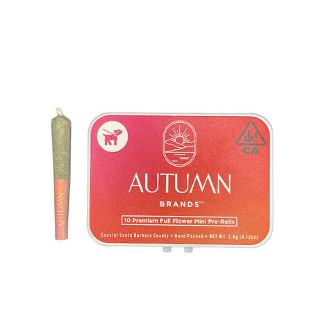 Compact Mini Pre-Rolls