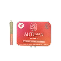 Compact Mini Pre-Rolls Image 1
