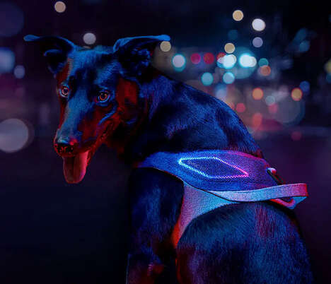 Illuminated Geolocation Pet Harnesses