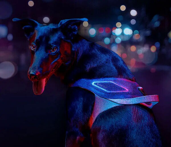 Illuminated Geolocation Pet Harnesses