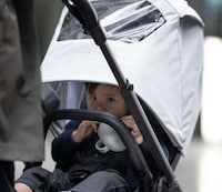 Air-Purifying Stroller Canopies Image 5