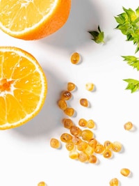 Refreshing Collaborative Fragrances Image 4