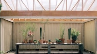 Outdoor Plant Communal Spaces Image 3