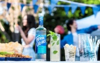 Rebranded Modernized Vodka Ranges