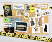 Co-Branded Cat Podcasts Image 3