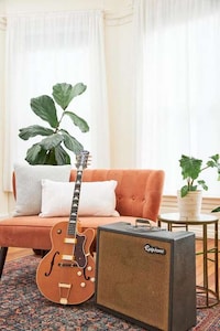 Celebratory Limited-Edition Guitar Collections Image 1