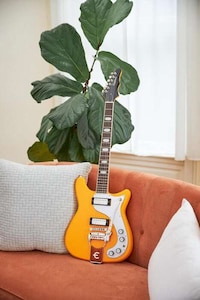 Celebratory Limited-Edition Guitar Collections Image 2