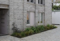 Neighborhood-Like Communal Courtyard Image 3
