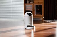 Artificial Intelligence-Powered Pet Feeders