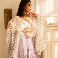 Chic South Asian Fashion Image 4